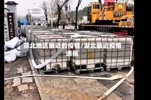湖北地区最近的疫情/湖北最近疫情通报