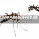 蚊子疫情严重地区(蚊子多的地区)