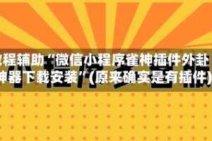 教程辅助“微信小程序雀神插件外卦神器下载安装”(原来确实是有插件)