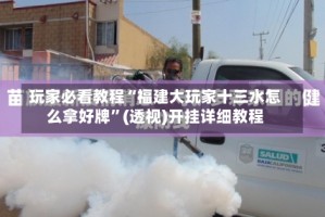 玩家必看教程“福建大玩家十三水怎么拿好牌”(透视)开挂详细教程