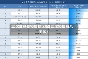 武汉哪些是疫情地区呢(武汉疫情那几个区)