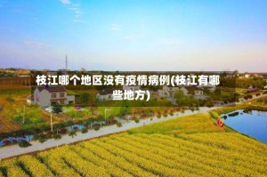 枝江哪个地区没有疫情病例(枝江有哪些地方)