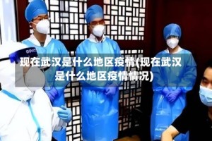 现在武汉是什么地区疫情(现在武汉是什么地区疫情情况)