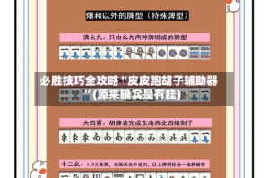 必胜技巧全攻略“皮皮跑胡子辅助器”(原来确实是有挂)