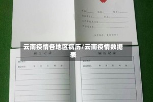 云南疫情各地区病历/云南疫情数据表