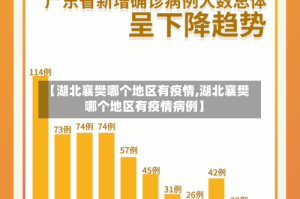 【湖北襄樊哪个地区有疫情,湖北襄樊哪个地区有疫情病例】