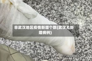 非武汉地区疫情新增个数(武汉无新增病例)