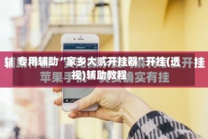 专用辅助“家乡大贰开挂器”开挂(透视)辅助教程