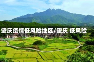 肇庆疫情低风险地区/肇庆 低风险