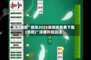 实测辅助”微乐2025透视挂免费下载(透视)”详细开挂玩法
