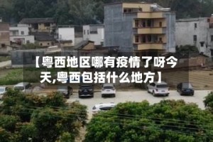 【粤西地区哪有疫情了呀今天,粤西包括什么地方】