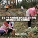 【石阡有无疫情地区吗现在,石阡有无疫情地区吗现在有疫情吗】
