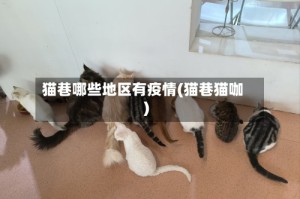 猫巷哪些地区有疫情(猫巷猫咖)