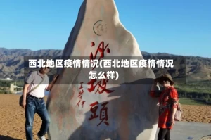 西北地区疫情情况(西北地区疫情情况怎么样)