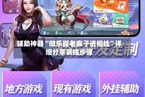 辅助神器“微乐捉老麻子透视挂”详细分享装挂步骤