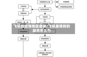 飞机在疫情地区备降/飞机备降别的城市怎么办