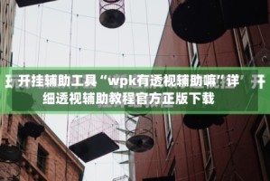 开挂辅助工具“wpk有透视辅助嘛”详细透视辅助教程官方正版下载