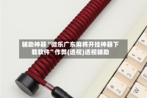 辅助神器“微乐广东麻将开挂神器下载软件”作弊(透视)透视辅助