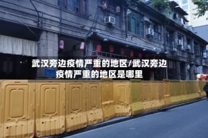 武汉旁边疫情严重的地区/武汉旁边疫情严重的地区是哪里