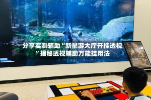 分享实测辅助“新星游大厅开挂透视”揭秘透视辅助万能挂用法