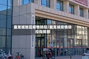 盘龙城地区疫情防控/盘龙城疫情防控指挥部