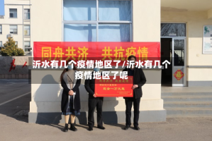 沂水有几个疫情地区了/沂水有几个疫情地区了呢