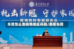 东莞怎么查疫情地区风险/查看东莞