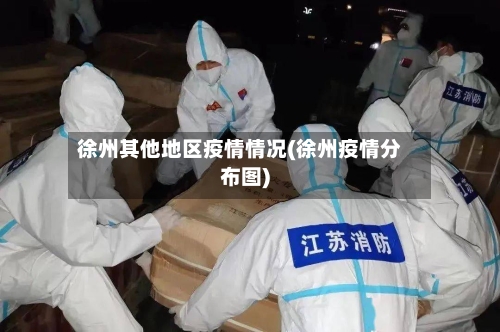 徐州其他地区疫情情况(徐州疫情分布图)-第1张图片