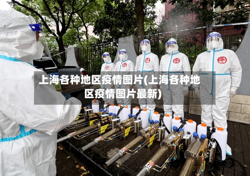 上海各种地区疫情图片(上海各种地区疫情图片最新)-第2张图片