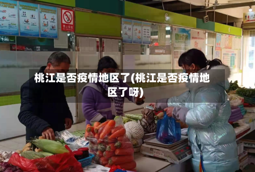 桃江是否疫情地区了(桃江是否疫情地区了呀)-第3张图片