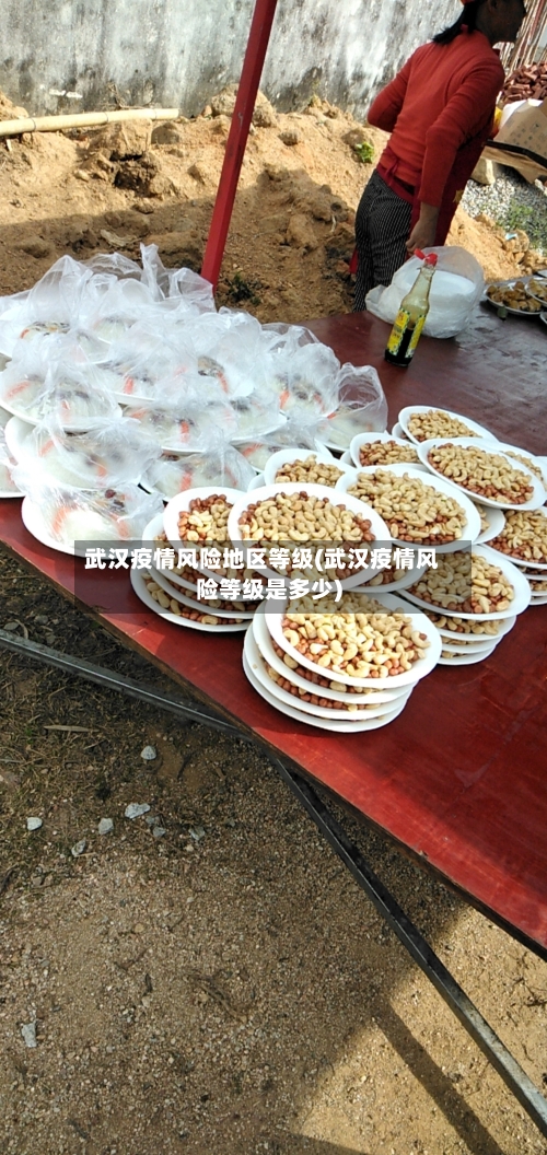 武汉疫情风险地区等级(武汉疫情风险等级是多少)-第2张图片