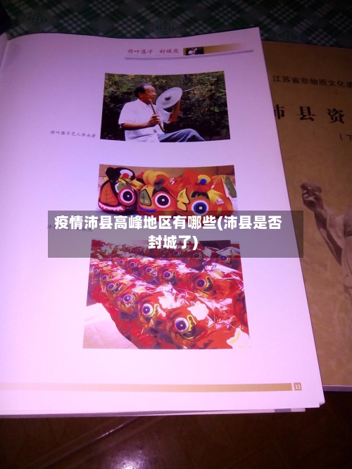 疫情沛县高峰地区有哪些(沛县是否封城了)-第1张图片