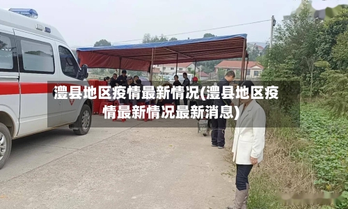 澧县地区疫情最新情况(澧县地区疫情最新情况最新消息)-第2张图片