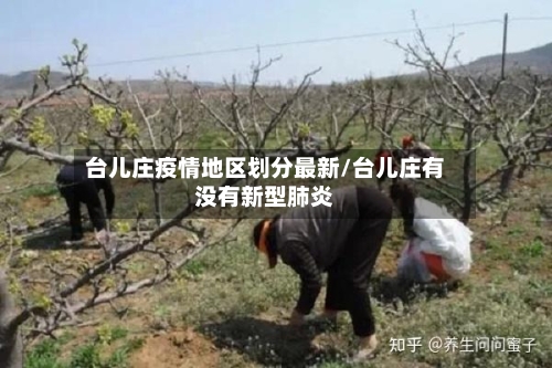 台儿庄疫情地区划分最新/台儿庄有没有新型肺炎-第2张图片