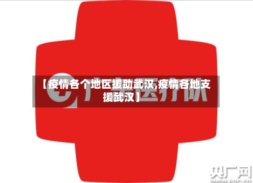 【疫情各个地区援助武汉,疫情各地支援武汉】-第1张图片