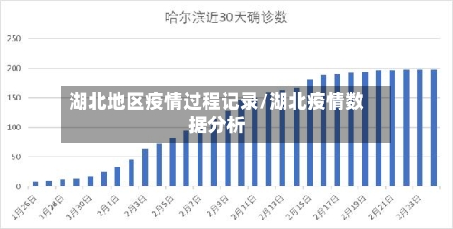 湖北地区疫情过程记录/湖北疫情数据分析-第2张图片