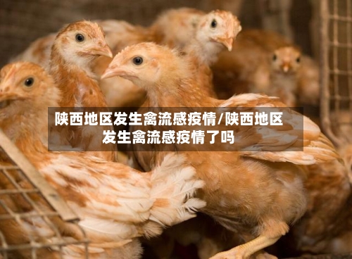 陕西地区发生禽流感疫情/陕西地区发生禽流感疫情了吗-第3张图片