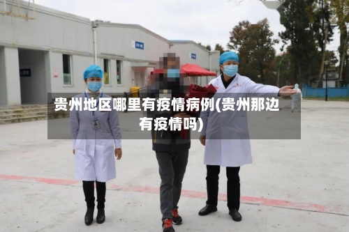 贵州地区哪里有疫情病例(贵州那边有疫情吗)-第2张图片