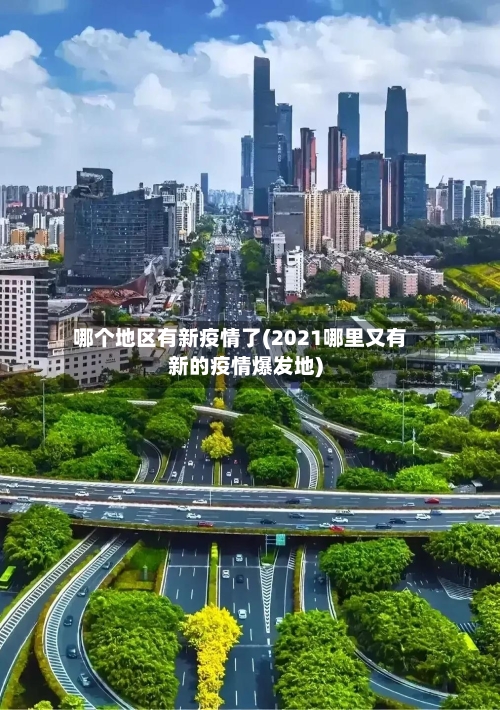 哪个地区有新疫情了(2021哪里又有新的疫情爆发地)-第1张图片