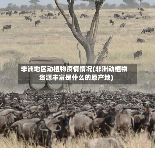 非洲地区动植物疫情情况(非洲动植物资源丰富是什么的原产地)-第1张图片