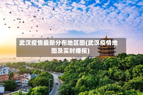 武汉疫情最新分布地区图(武汉疫情地图及实时播报)-第2张图片