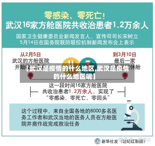 【武汉是疫情的什么地区,武汉是疫情的什么地区呢】-第2张图片