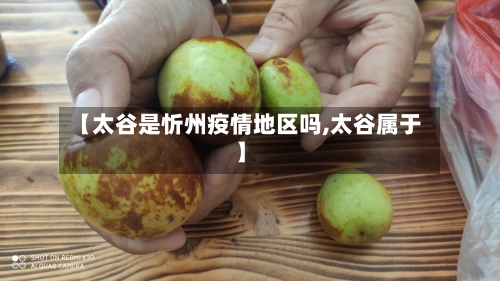 【太谷是忻州疫情地区吗,太谷属于】-第2张图片