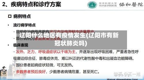 辽阳什么地区有疫情发生(辽阳市有新冠状肺炎吗)-第2张图片