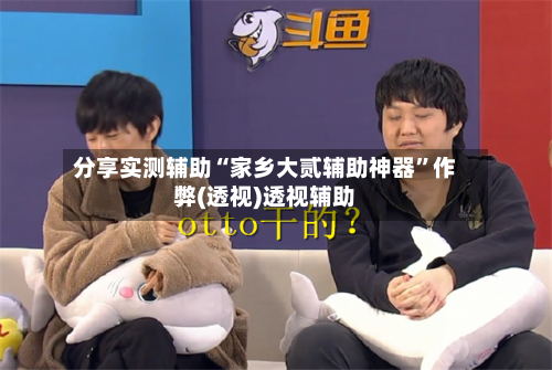 分享实测辅助“家乡大贰辅助神器”作弊(透视)透视辅助-第1张图片