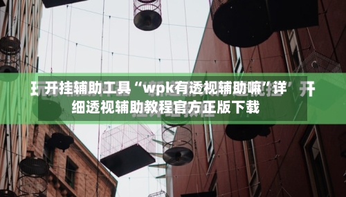 开挂辅助工具“wpk有透视辅助嘛	”详细透视辅助教程官方正版下载-第1张图片