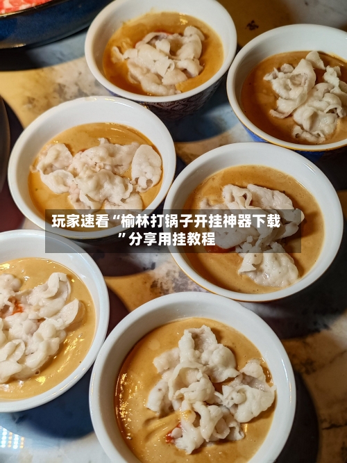 玩家速看“榆林打锅子开挂神器下载	”分享用挂教程-第2张图片