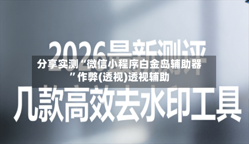 分享实测“微信小程序白金岛辅助器	”作弊(透视)透视辅助-第1张图片