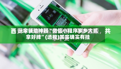 玩家辅助神器“微信小程序家乡大贰拿好牌”(透视)其实确实有挂-第3张图片