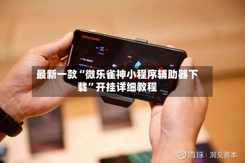 最新一款“微乐雀神小程序辅助器下载	”开挂详细教程-第3张图片